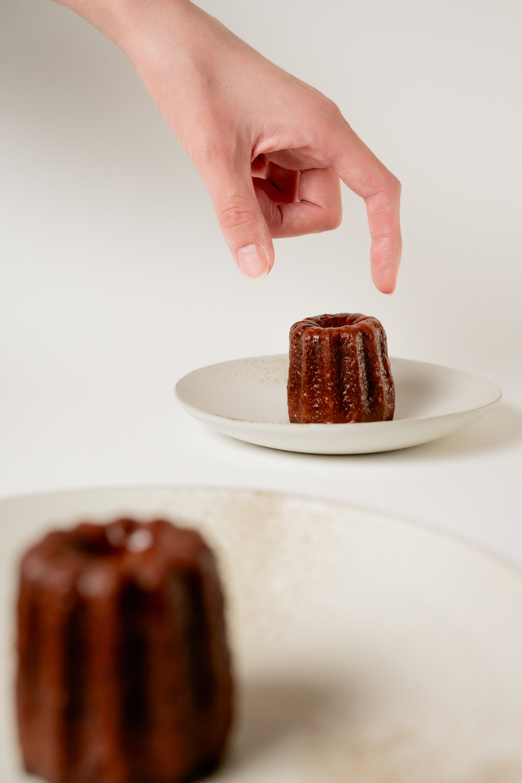 Takahisa Hisada 15 cm — White Shell Plate